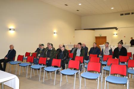 Slovesna podelitev medalj veteranom vojne za Slovenijo 1